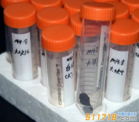 儀器探究新發現 周代化妝品含植物精油