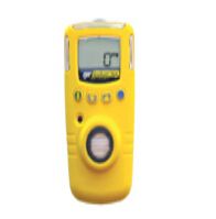 加拿大BW GAXT-S二氧化硫檢測(cè)儀