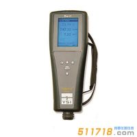 美國YSI Pro20型溶解氧測量儀