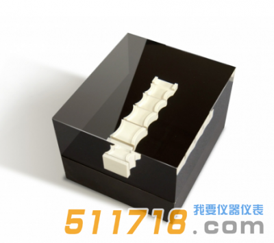 美國CIRS 026脊柱體模