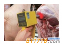 德國MATTHAUS OPTO-STAR肉色測定儀