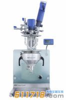 德國IKA magic PLANT實(shí)驗(yàn)室反應(yīng)器