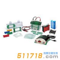 美國伯樂Bio-Rad 1658033垂直電泳轉印系統套裝