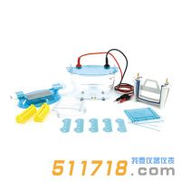 北京六一 DYCZ-24K、DYCZ-24KS型雙板垂直電泳儀