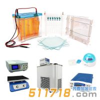 北京六一 雙向電泳系統