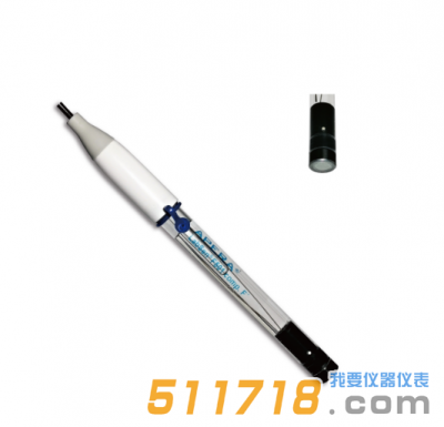 LabSen F501氟離子復合電極
