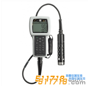 美國YSI 556MPS型多參數水質測量儀 美國YSI 556MPS型多參數水質測量儀