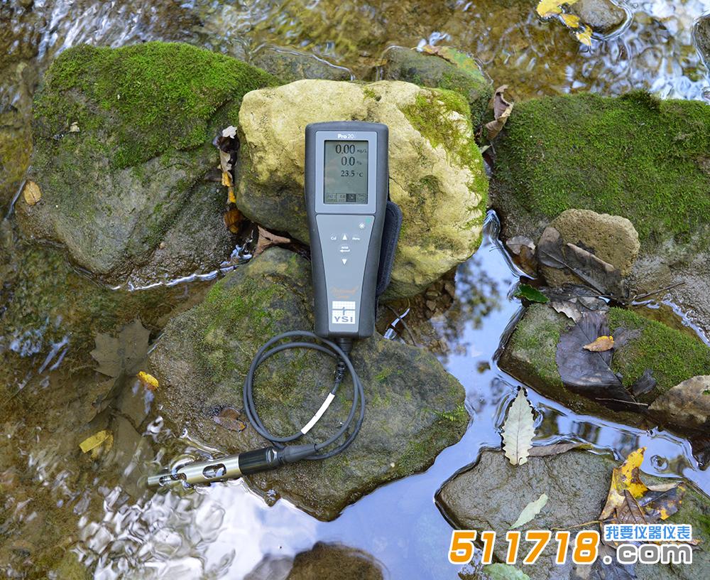 YSI Pro20 便攜式溶氧儀.jpg