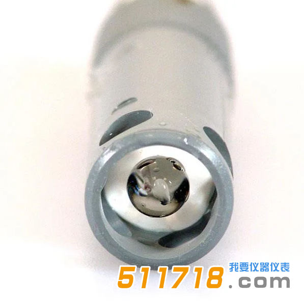 YSI1001 PH探頭.png