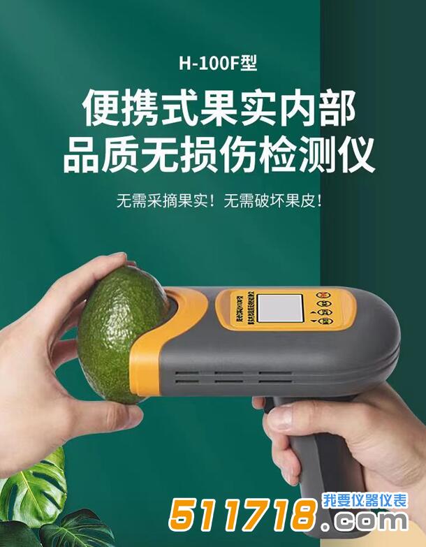 1699941801652895.jpg H-100F無損檢測儀.jpg